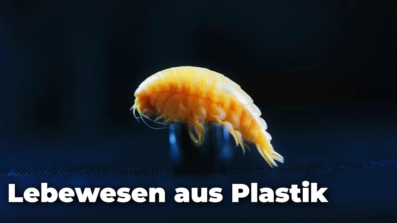 Plastik-Lebewesen in 6500 Meter Tiefe aufgesp&uuml;rt! - Clixoom nature