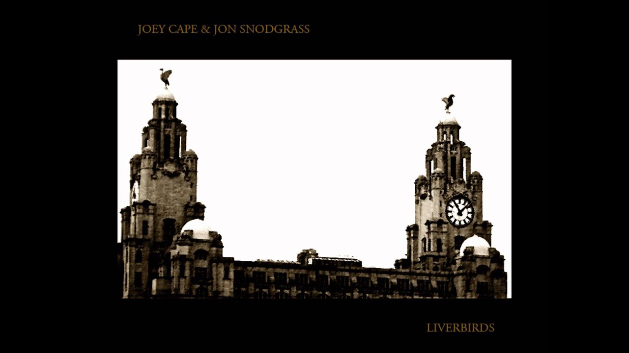 Joey Cape & Jon Snodgrass - Angry Days [Acoustic]