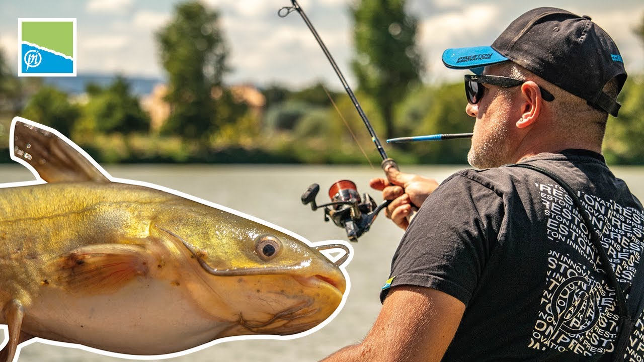 PÊCHE DE POISSONS CHATS |  Presque 300 poissons chats : Pêche de vitesse au feeder avec Francki