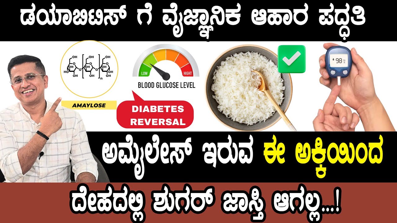 Amylose Rich Rice for Diabetics | ಡಯಾಬಿಟಿಸ್ ಗೆ ವೈಜ್ಞಾನಿಕ ಆಹಾರ ಪದ್ಧತಿ | Diabetes Reversal Tips