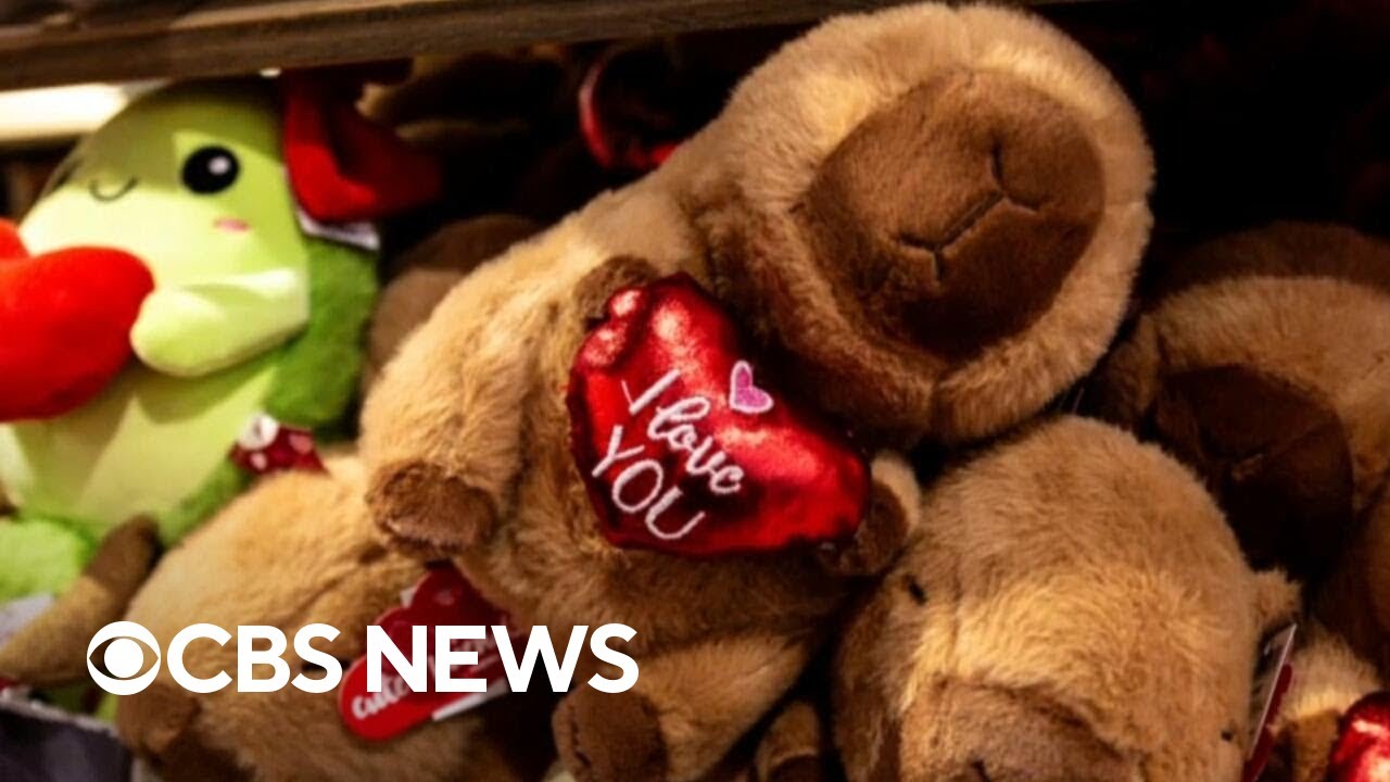Dating and romance advice ahead of Valentine's Day