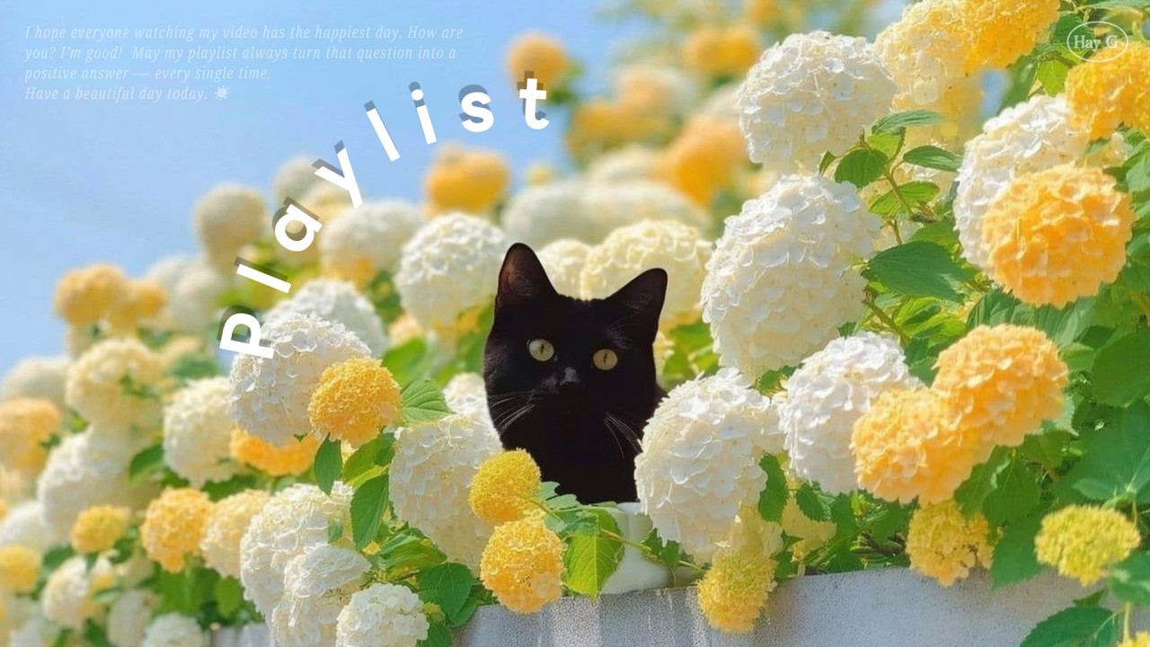 Playlist 🌼 듣자마자 기분 UP ! 능률 UP! 🌷 봄내음 가득한 팝 플레이리스트ㅣCafe BGM · 매장음악 · 노동요 | HayG