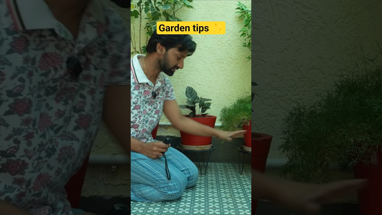 My garden hack for pots! 