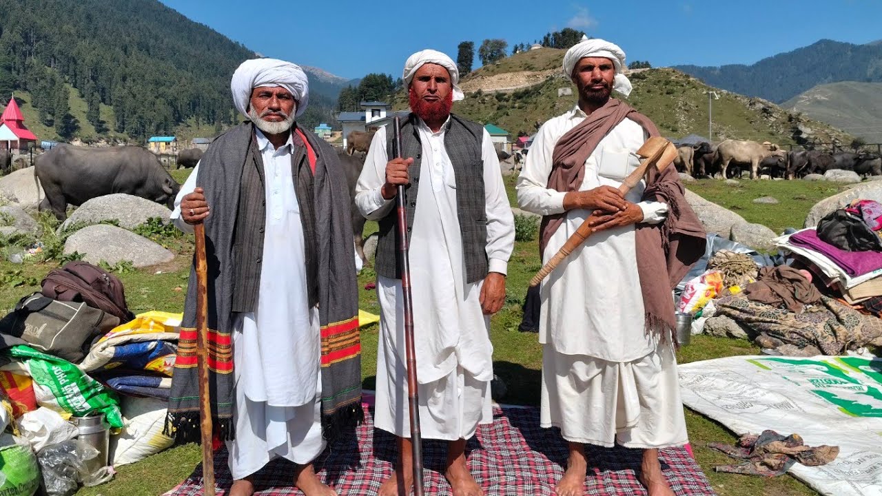 Untold Stories Of Gujjars Of Jammu & Kashmir ♥️ Itna Khubsurat Gujjar Bakarwal Bhaiyon Ka Culture🥰