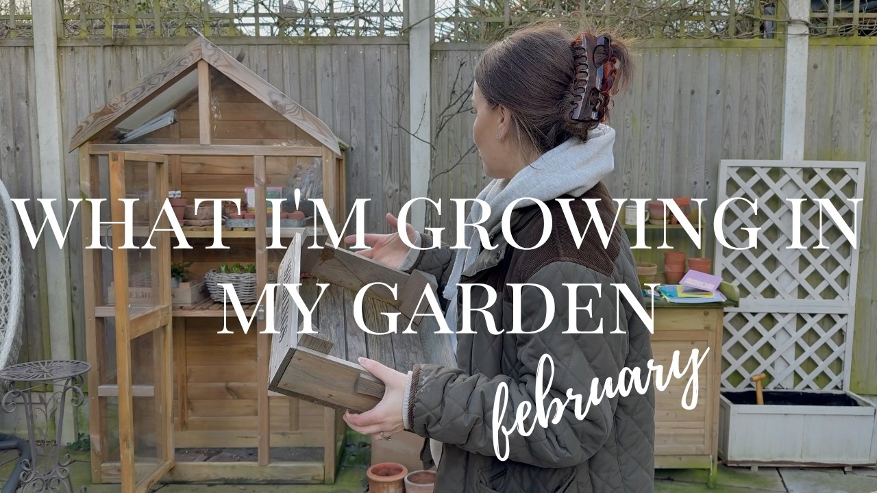 lets sow some february seeds | vegetable growing & garden update | ByEmmaLouise