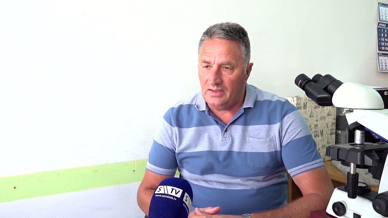 Arsenijević: Ambrozija u porastu