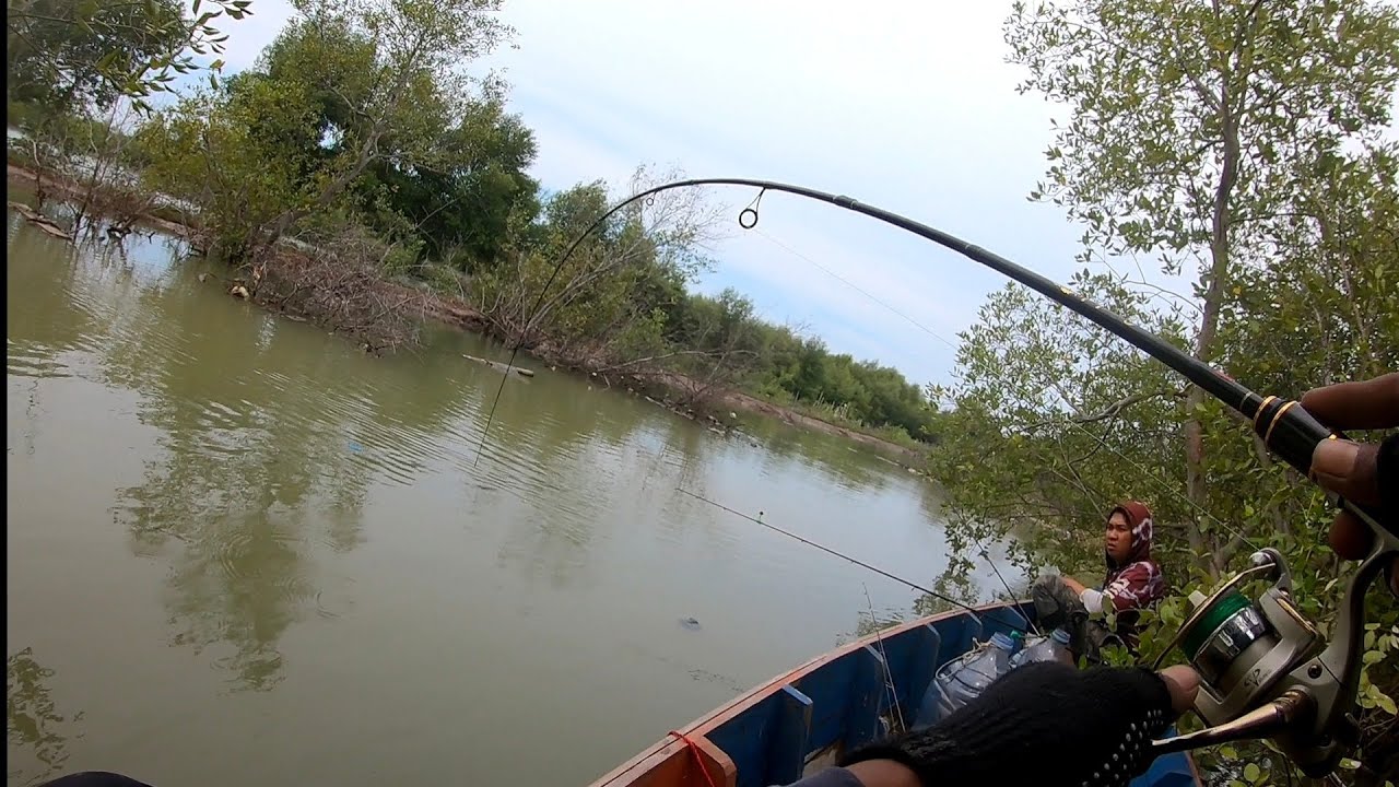 BANYAK SPOT MANCING DISINI ‼️Muara Gembong ‼️#fishing #mancingmania #mancingliar 