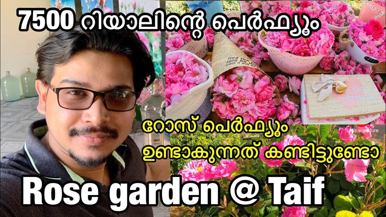 Rose perfume factory|Bin Salman|Rose garden Taif||Taif attractions|| Rose Factory Taif | Taif Rose