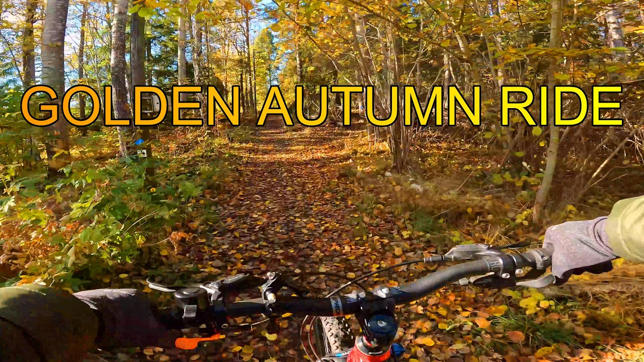 Autumn Bike Ride Through Nordronavägen, Norrtälje Sweden 🍁 | Scenic Fall Cycling 4K