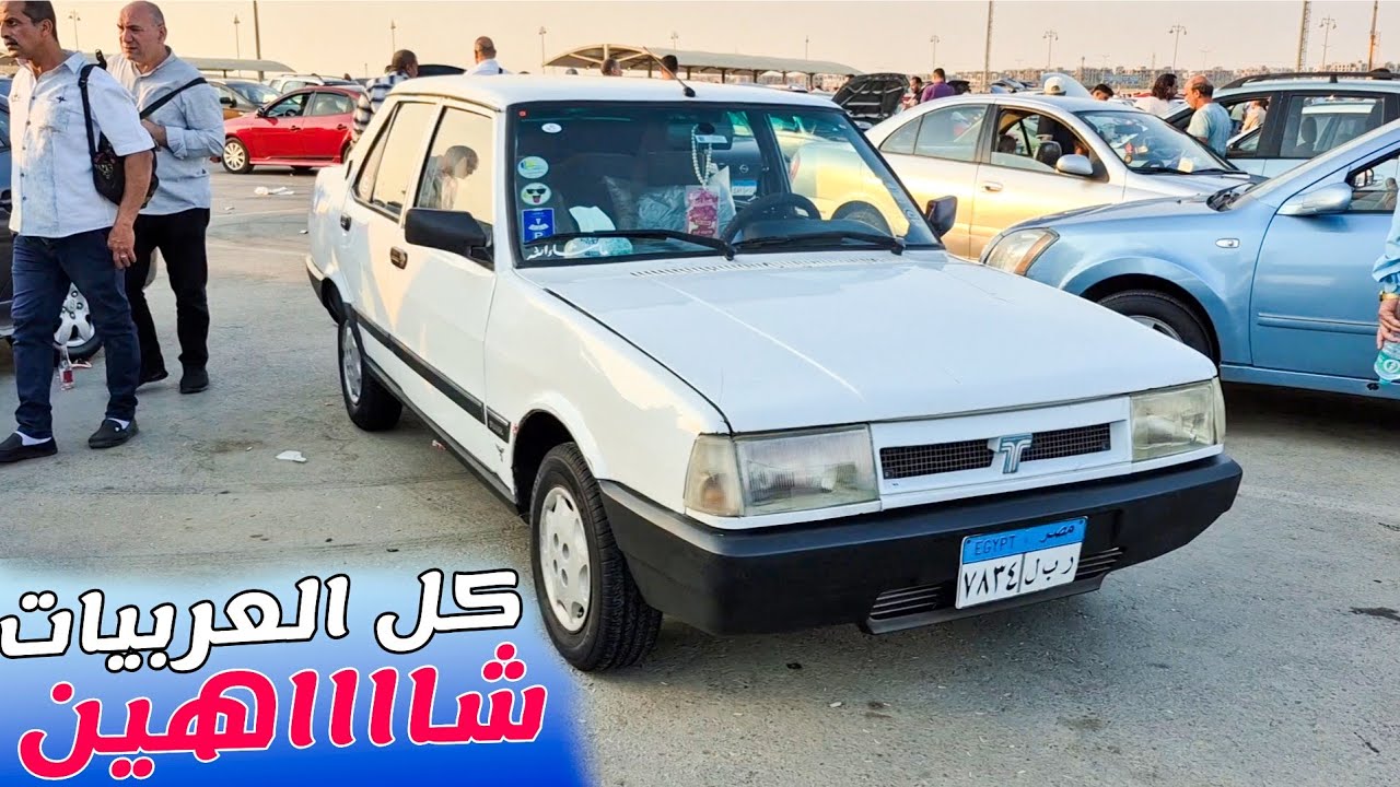 كل العربيات نصر 