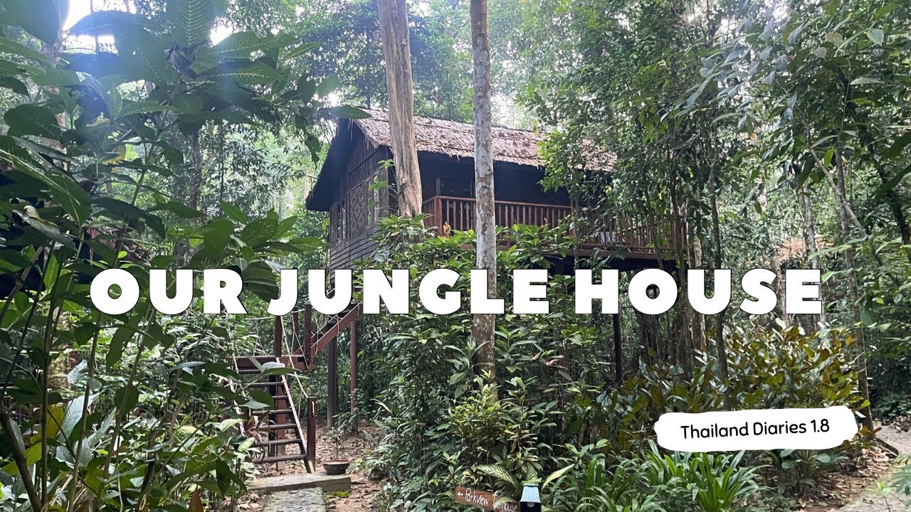 Thailand Diaries 1.8 | Treehouse Adventures in Thailand - Our Jungle House
