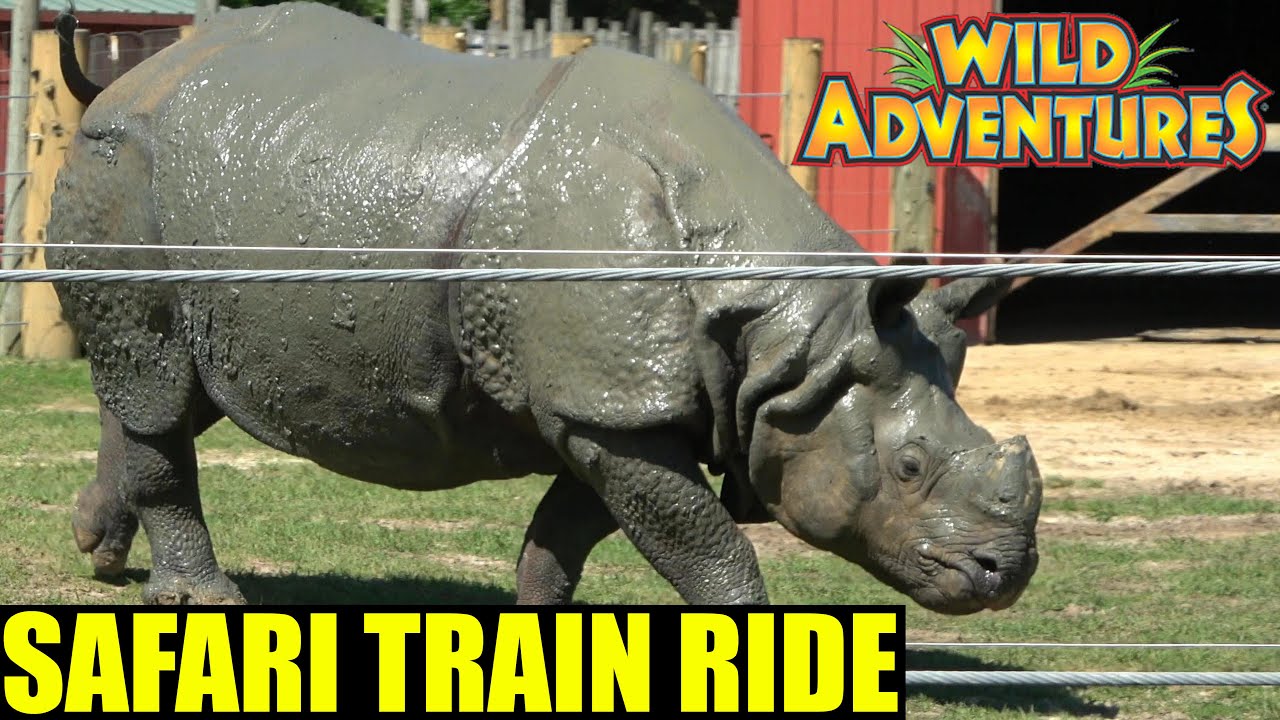 POV Safari Train at Wild Adventures