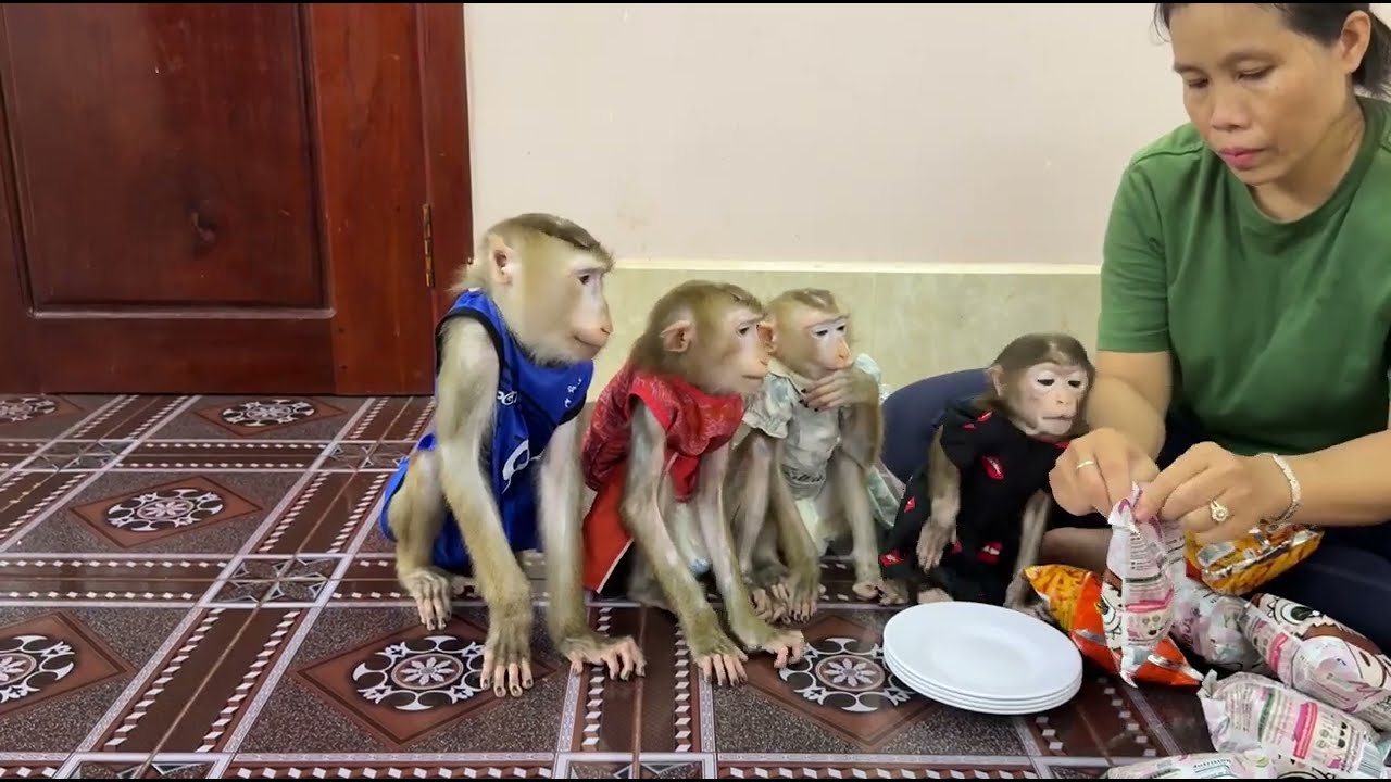 4 Siblings Sit Very Obediently & Excited Waiting Mom To Prepare Snack Treat Very Crispy & Tasty,