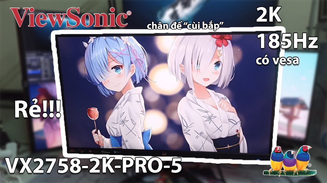 ViewSonic VX2758-2K-PRO-5 | Màn hình giá RẺ mà chất lượng NGON phết dù còn vài điểm chưa hoàn hảo!