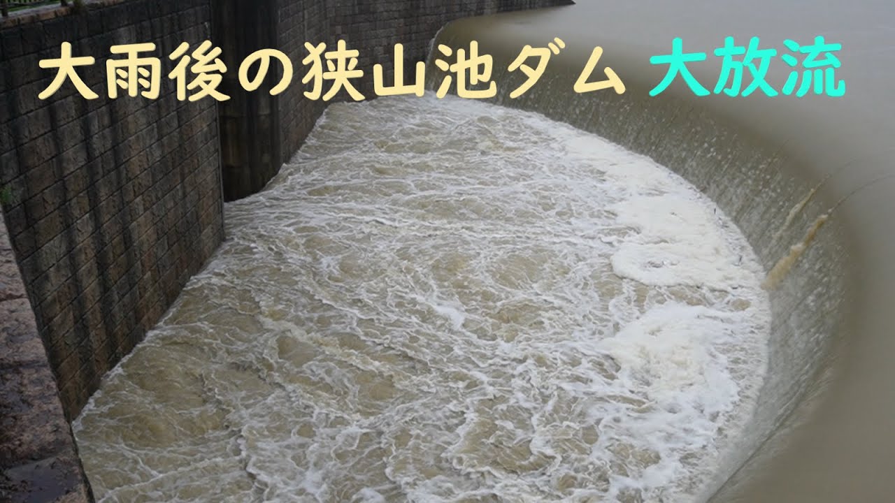 大雨後の狭山池ダム  大放流【大阪府】