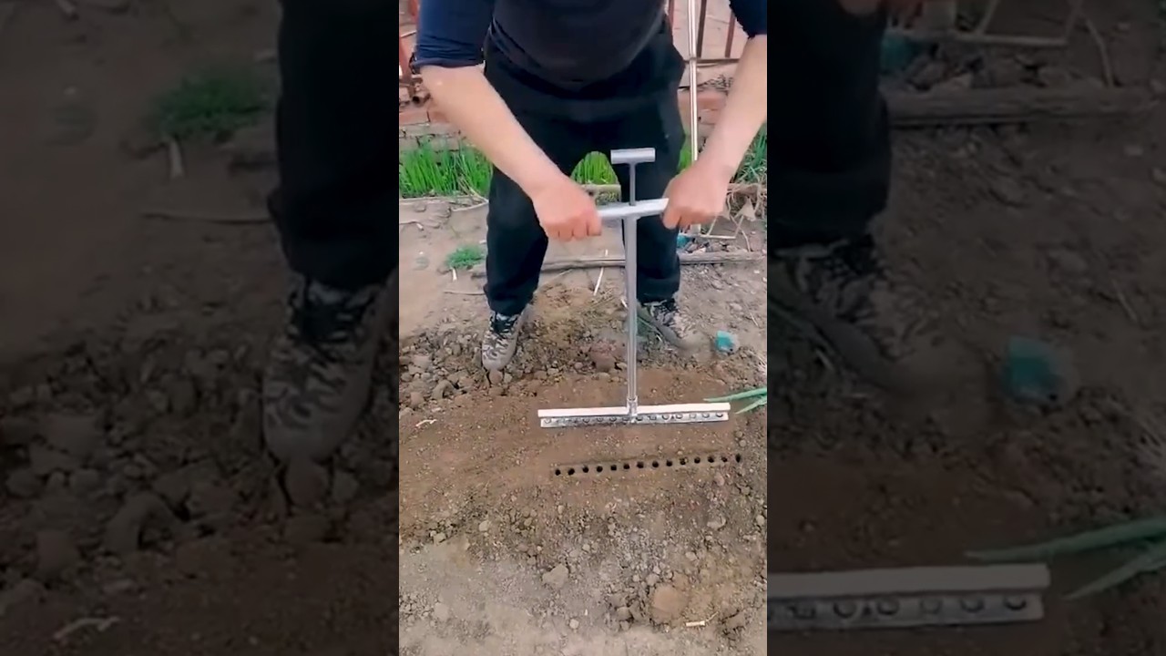 Quick and easy technique for planting onions