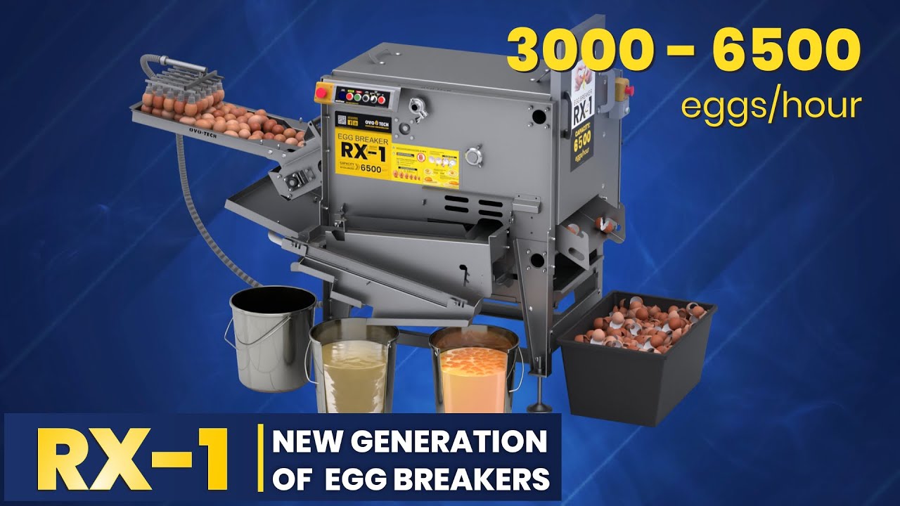 RX-1 Egg breaker with whites & yolks separation by OVO-TECH