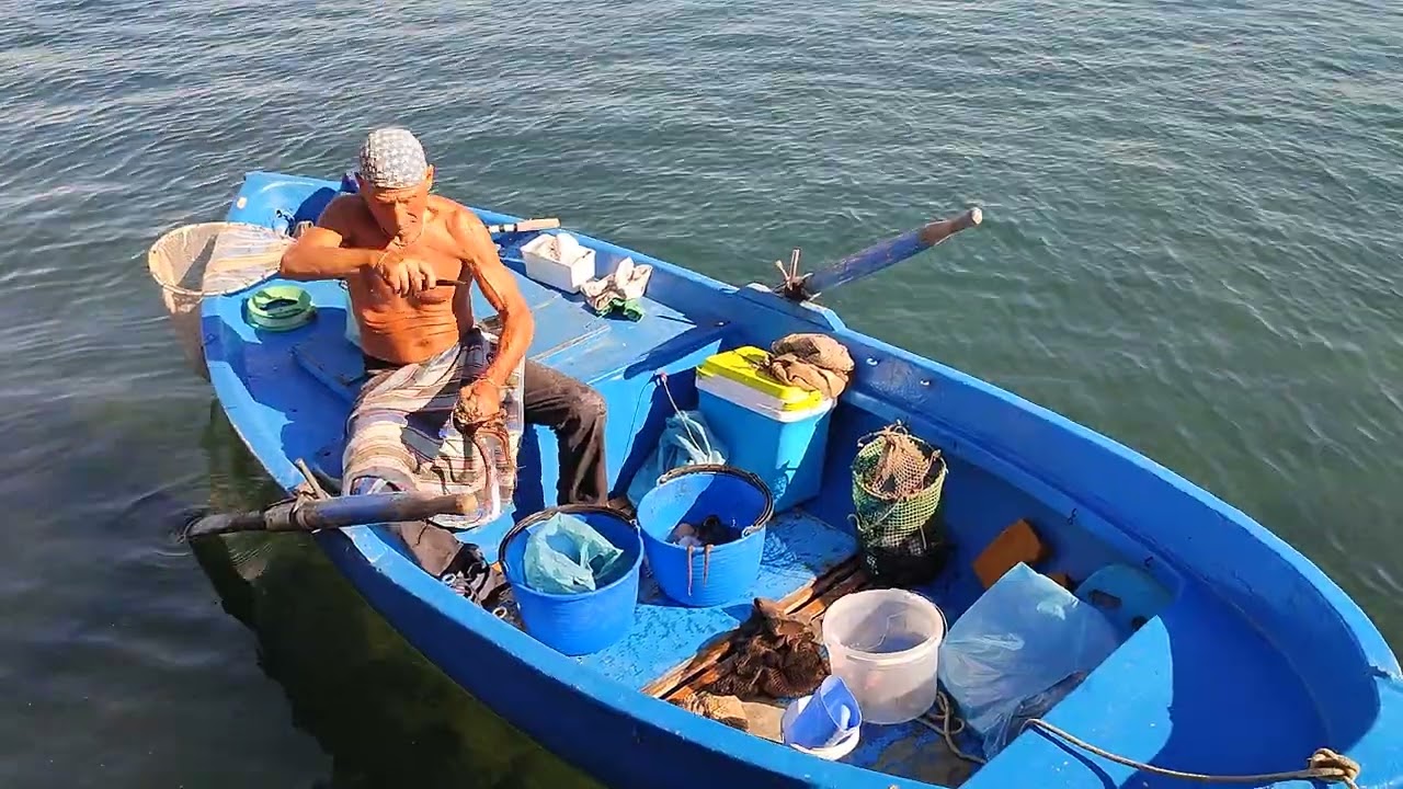 Pescatore mentre pulisce i polpi appena pescati