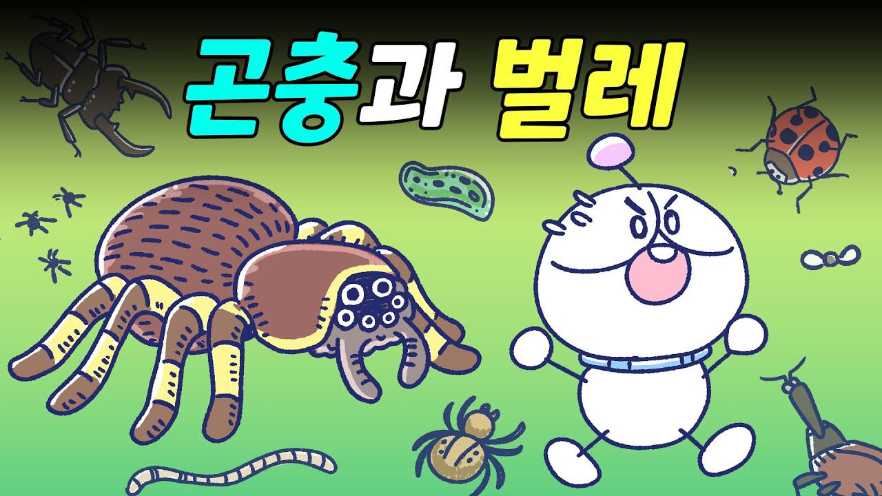 곤충과 벌레는 무슨 차이가 있나요?