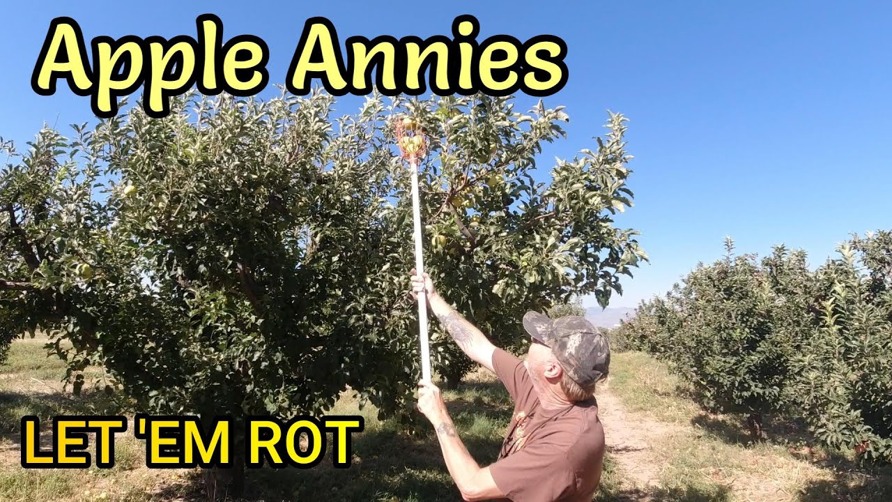 Apple Annies Orchard Tour and Breakfast