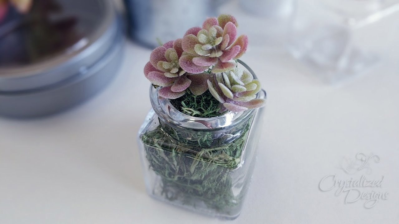 Create a Mini Succulent Magnet