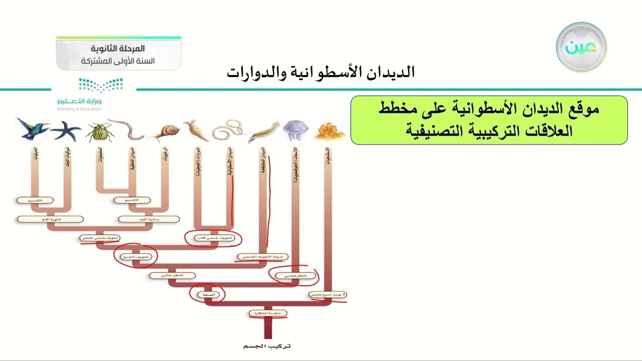 الديدان الاسطوانية والدوارات - أحياء (1) - السنة الأولى المشتركة