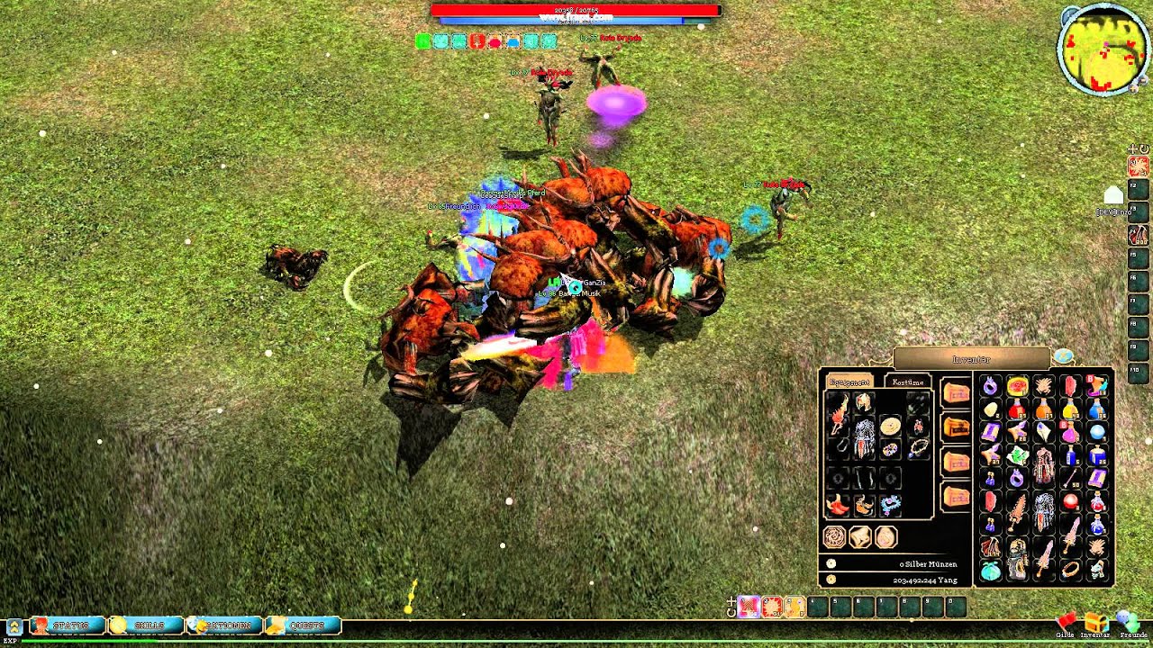 Hyrule2 Hacker erwischt (Farmen/Leveln) (M2Bob)