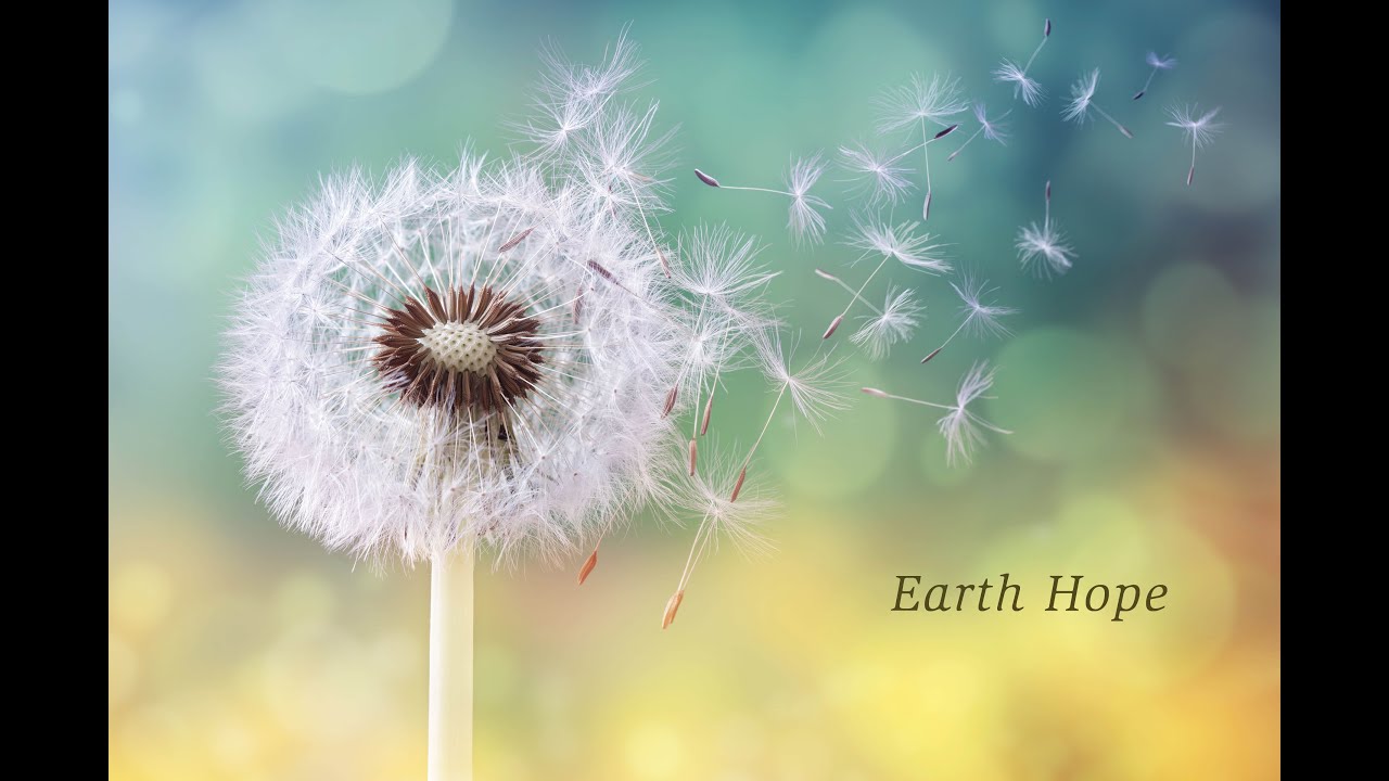 Earth Hope