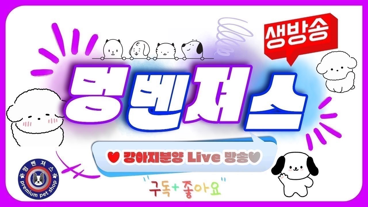 강아지분양 🐶멍벤져스 💕 #강아지분양 #애견분양 #live #강아지 #애완견 #라이브 #추천 #멍벤져스