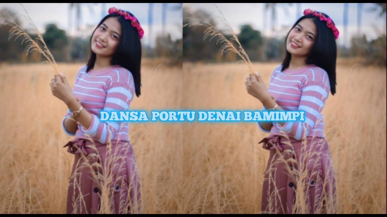 DANSA PORTU DENAI BAMIMPI (REMIX ABAL ABAL X ERWIN ABT)