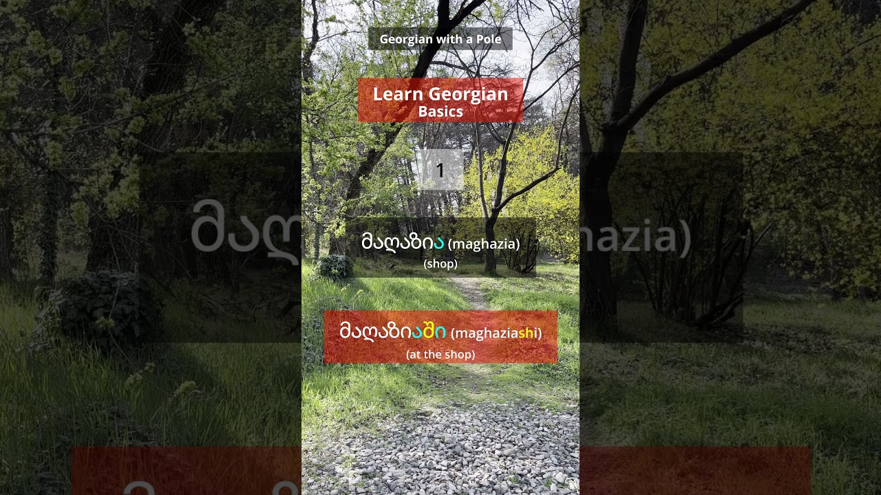 At home | Georgian Lesson For Beginners #learngeorgian #georgianlanguage #georgian