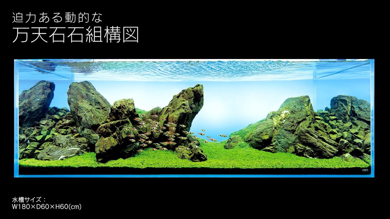 [ADAview] 180cm水槽レイアウト 万天石石組構図編