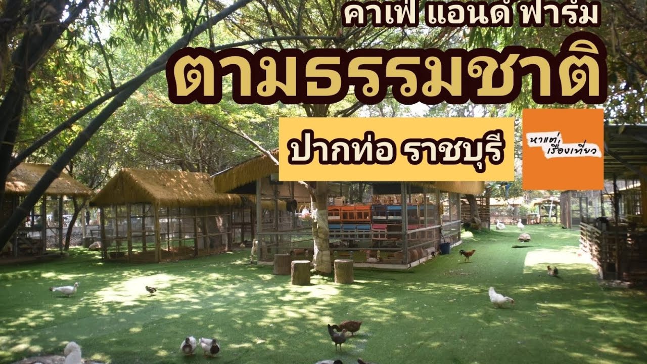 ตามธรรมชาติ คาเฟ่ แอนด์ ฟาร์ม #หาแต่เรื่องเที่ยว