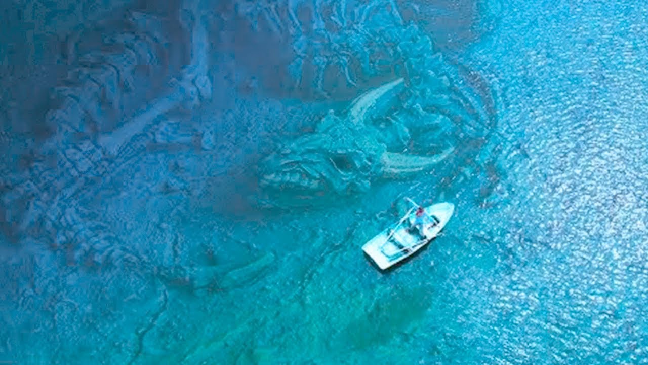 Oceanul Este Mult Mai TERIFIANT Decat Crezi