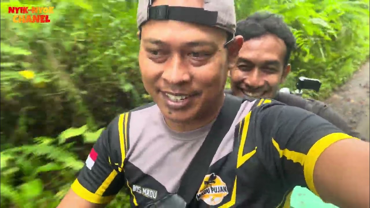 Panen lebah trigona yg di gembala di hutan hujan tropis Lombok rinjani 