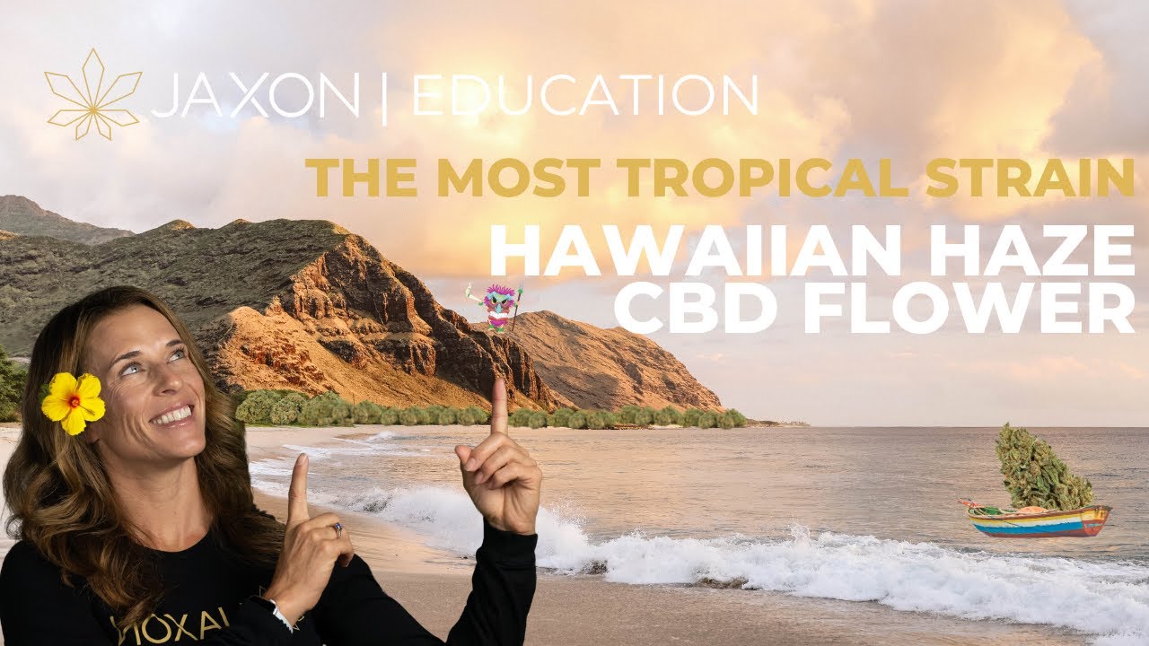 Hawaiian Haze CBD Flower-Education-JAXON