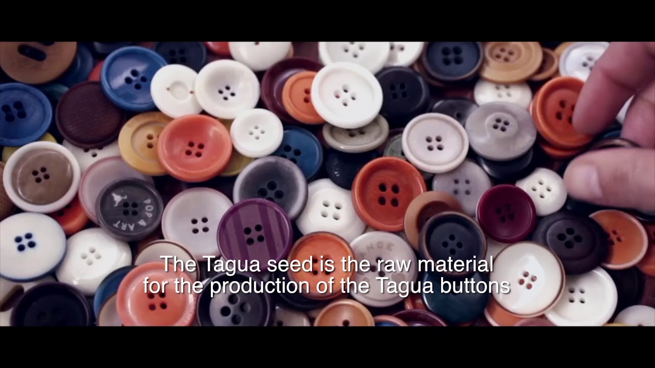 TAGUA (COROZO). An alternative to save the world (English Subtitles)