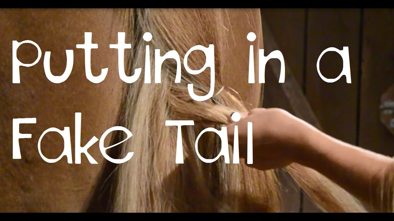 How to Put in a Fake Tail!