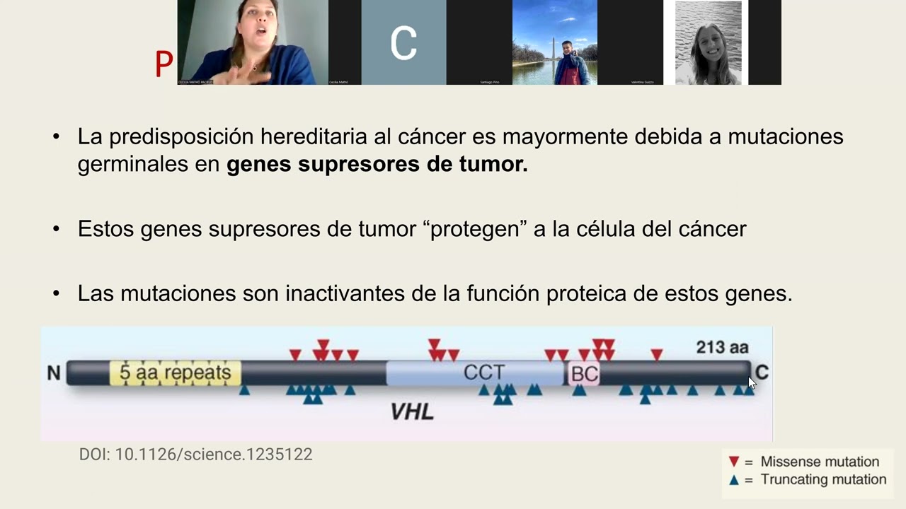 Genética del cáncer 2 - Genética del cáncer hereditario