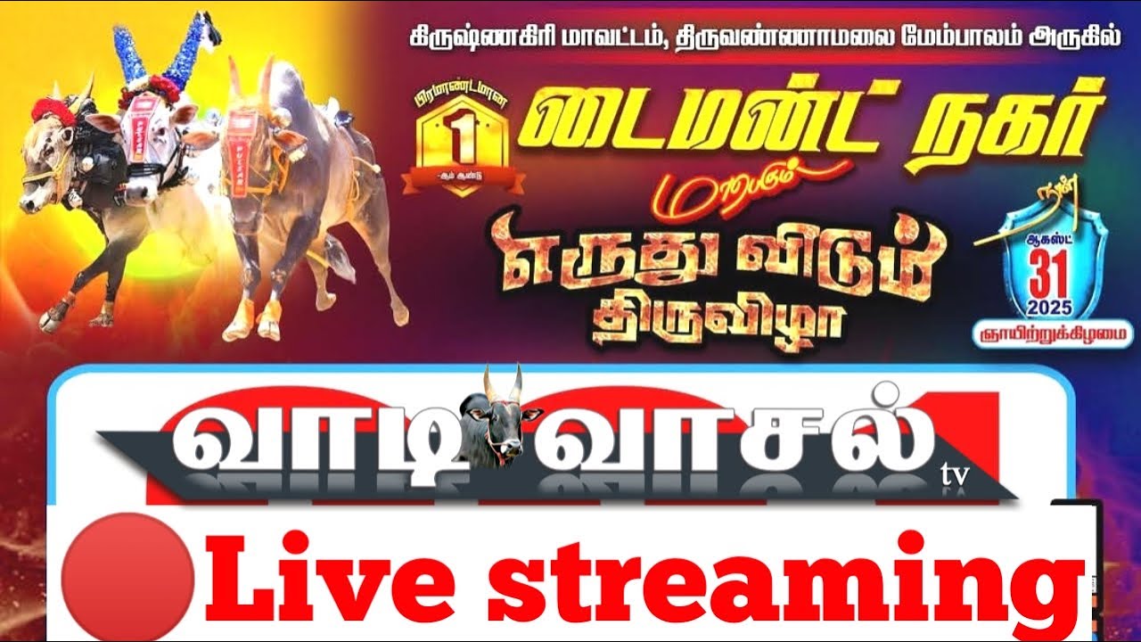 Diamond Nagar eruthukattu today🐂 🔴Live 🚗