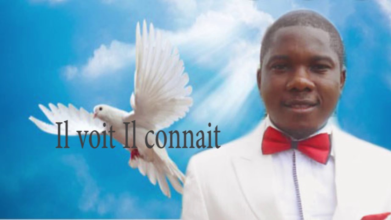 Il VOIT IL CONNAIT