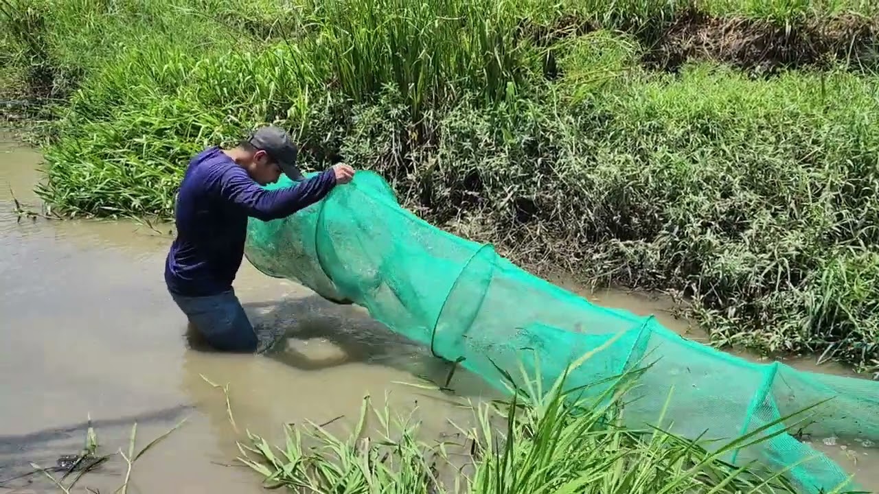 Đi Thăm Hai Cái Lú Vào Mùa Mưa Không Ngờ Trúng Mánh l tập 304