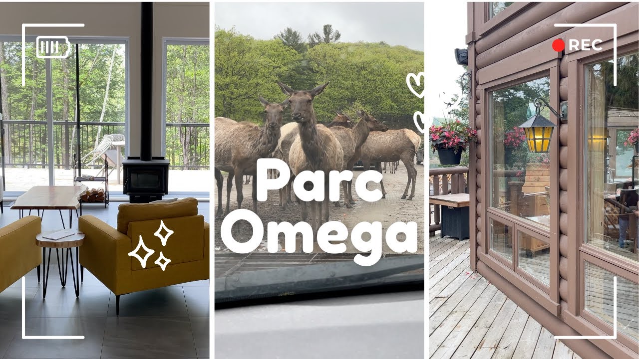 Is Parc Omega the TOP Choice for Family Vacations in Montebello Quebec?