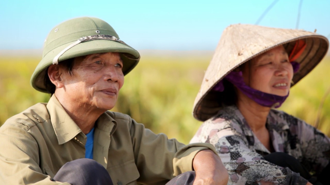 VIỆT TÚ || NGƯỜI ƠI HÃY VỀ || TUẤN PHƯƠNG
