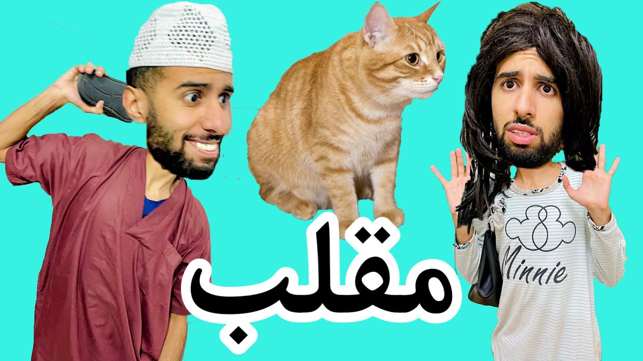 فاش الأب و الأم دياك كيخافو من القطة 🐈 😂