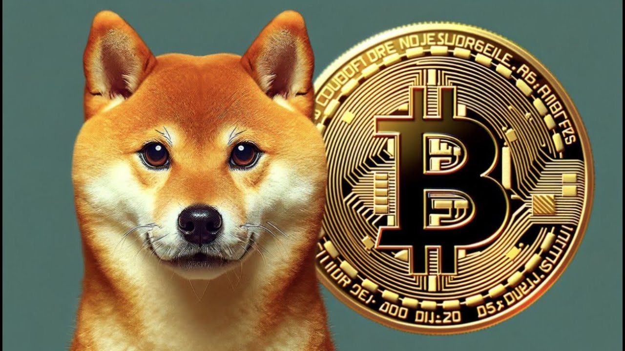 SHIBA INU WILL CRASH DOWN TO 6 ZEROS SOON!