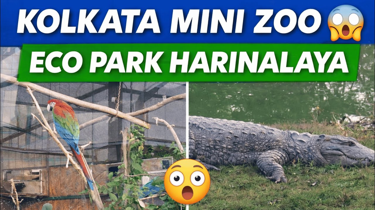 Harinalaya Deer Park New Town 🦌 | Eco Park Kolkata Mini Zoo Full Tour | Timing, Ticket & How to Go