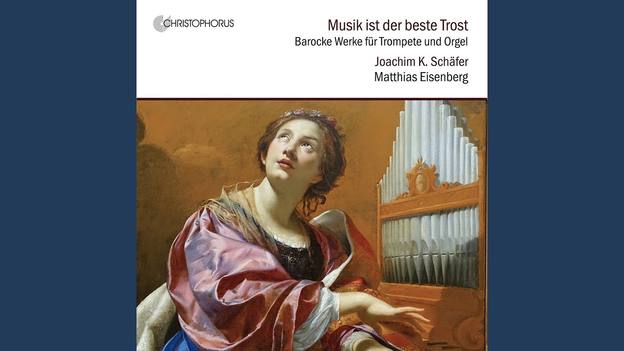 Concerto D-dur: Allegro moderato