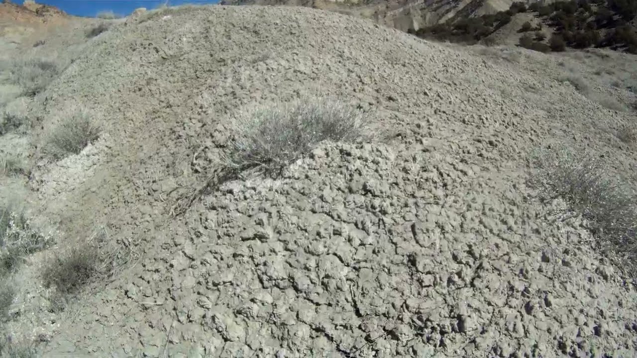 Fossil Hunting in the Book Cliffs of Colorado, February 2025