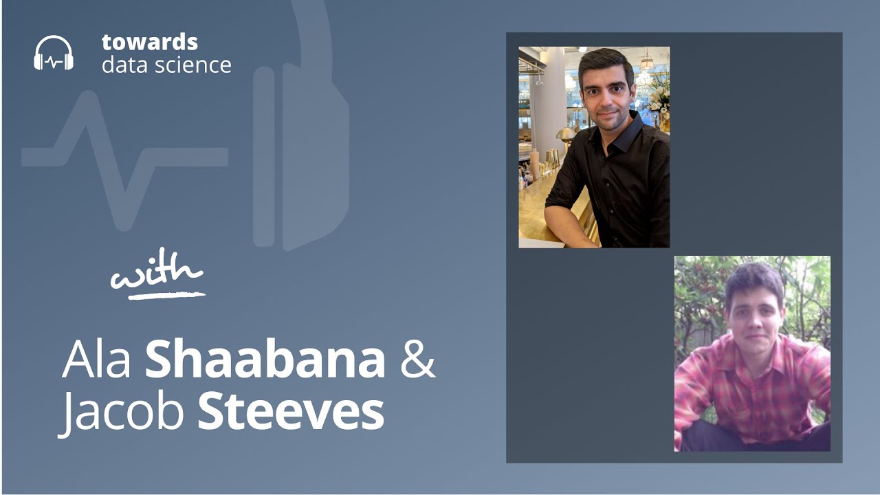 Ala Shaabana and Jacob Steeves - AI on the blockchain (it actually might just make sense)